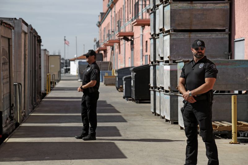 Local Executive Protection Services